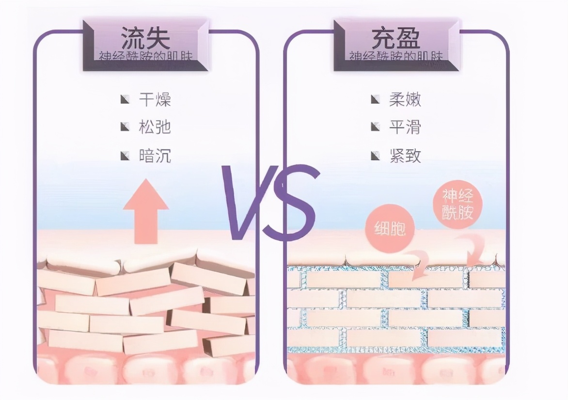 药学博士：网红成分神经酰胺究竟有啥用？揭开神秘面纱！（收藏）