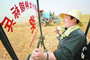 2023年农村包地有前景吗,农村包地有前景吗