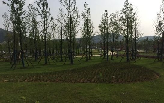 南京免费的公园,太全了
