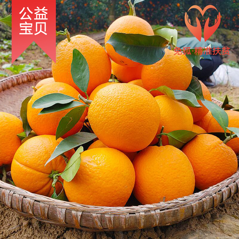 免狐扶贫项目上线,为麻阳甜橙解决销路难题