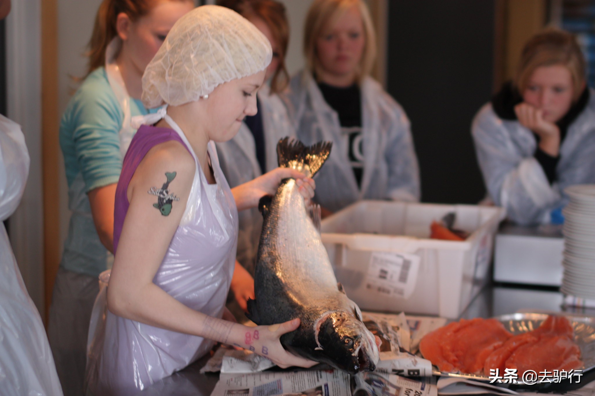 挪威三文鱼大规模养殖,挪威三文鱼养殖一年赚多少钱