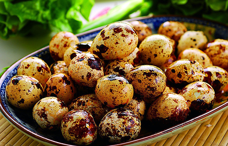 山东小伙靠养鹌鹑致富,农村大哥返乡创业养500只鸡