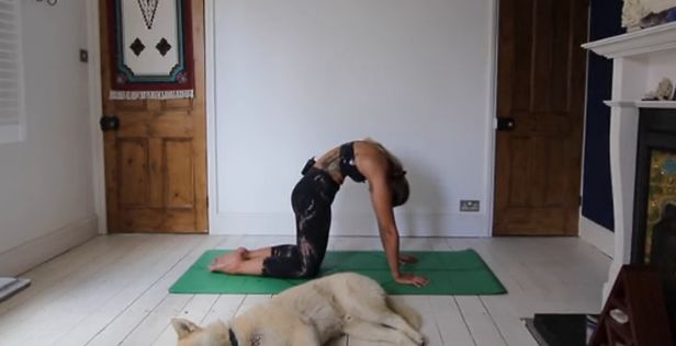 坐着抬臀锻炼,坐着抬腿锻炼多少次才有效果