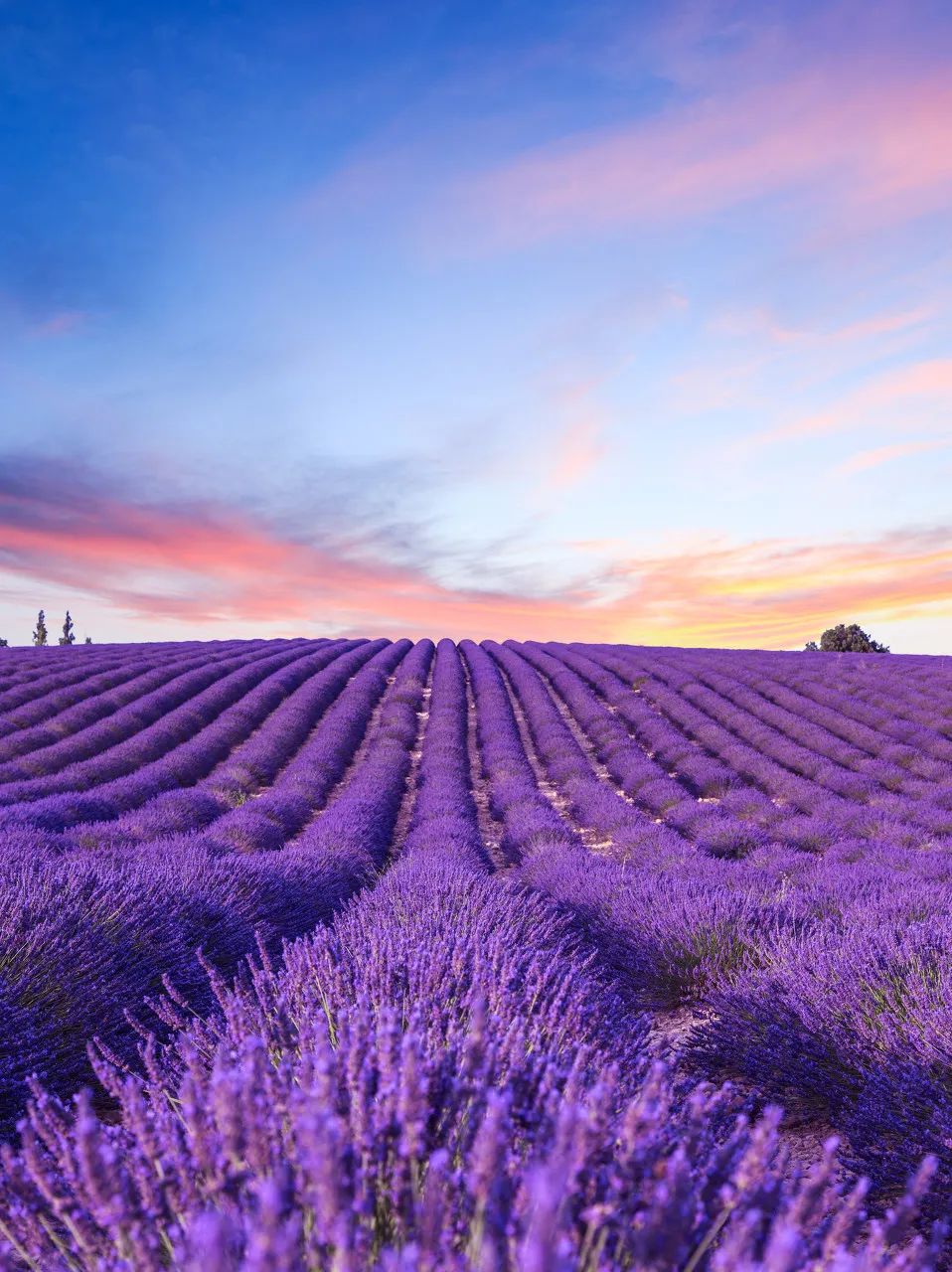 5个世界上最美的地方,欣赏世界上最美的80个地方