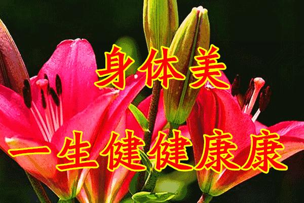 献给教师节老师辛苦了,教师节送给最美的老师们