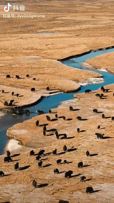 没有丁真,多少人知道理塘?丨地球知识局