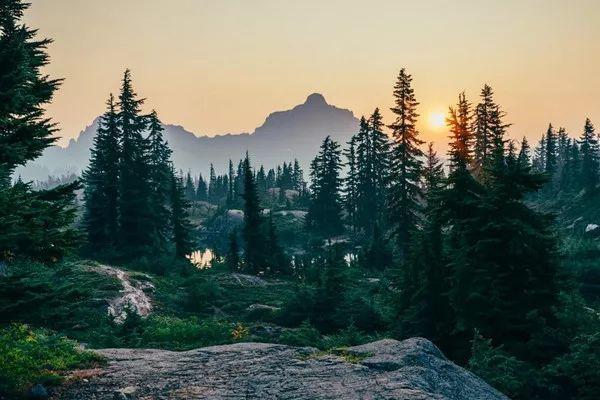 老年人失眠严重怎么提高免疫力,长期失眠熬夜会降低免疫力吗