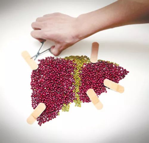 乙肝病毒阻断母婴传播科普视频,如何阻断乙肝母婴传播