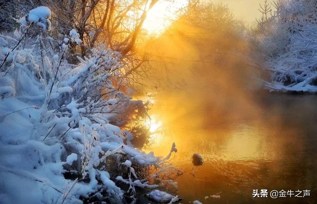 诵读国学传诵经典,关于国学经典传诵的视频