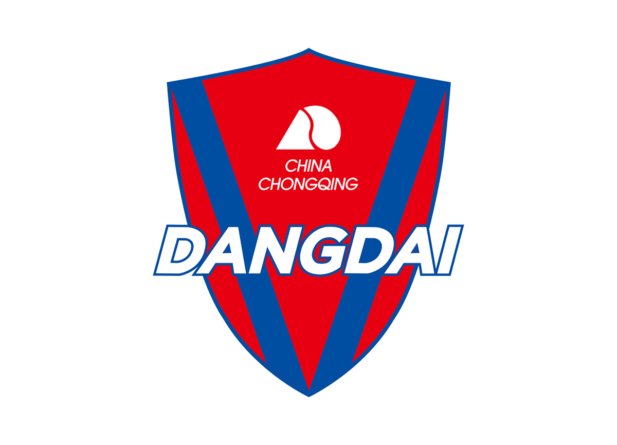 中国足球国家队的队徽变化史,各大足球队队徽盘点