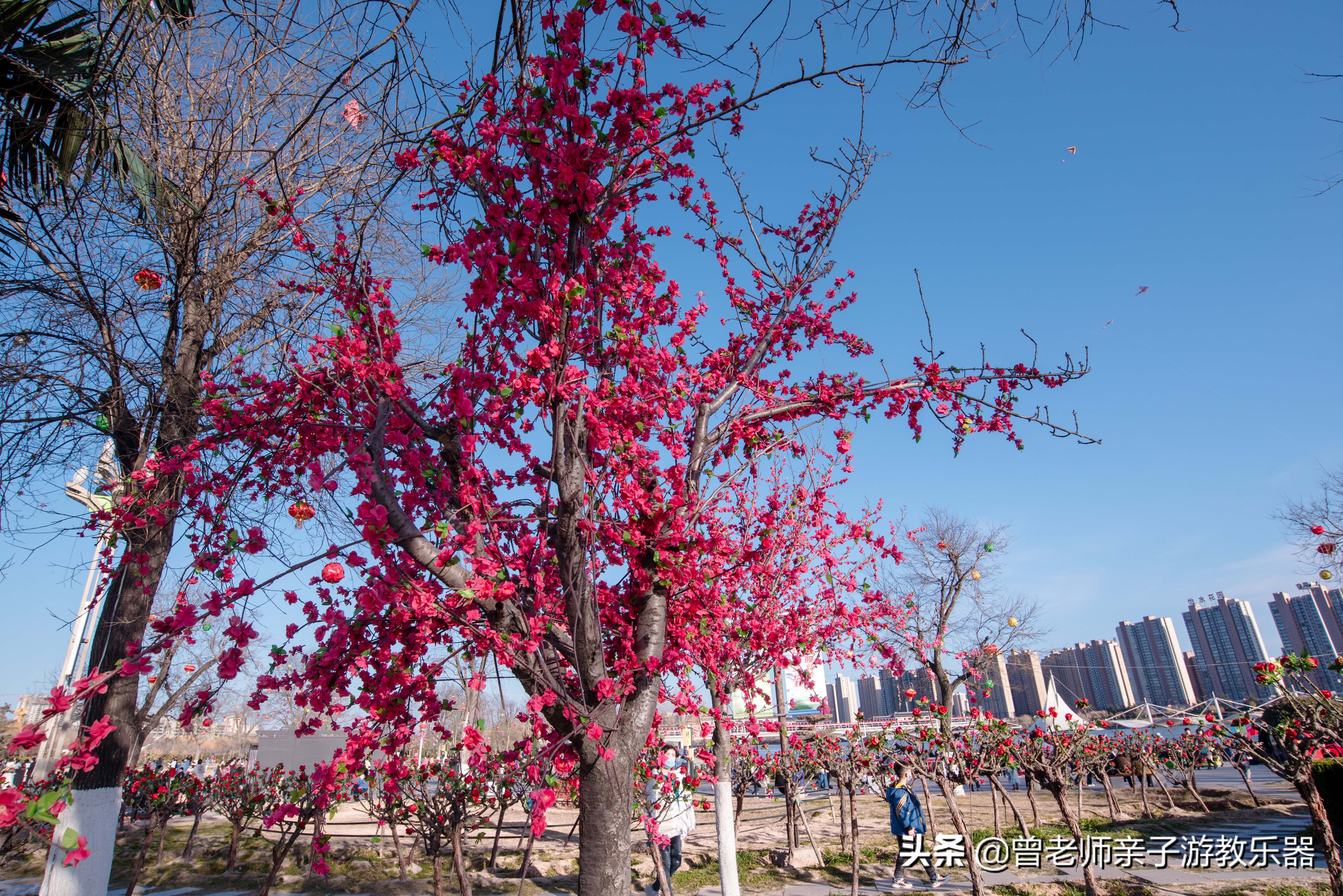 咸阳夜游游玩,西安咸阳湖景区