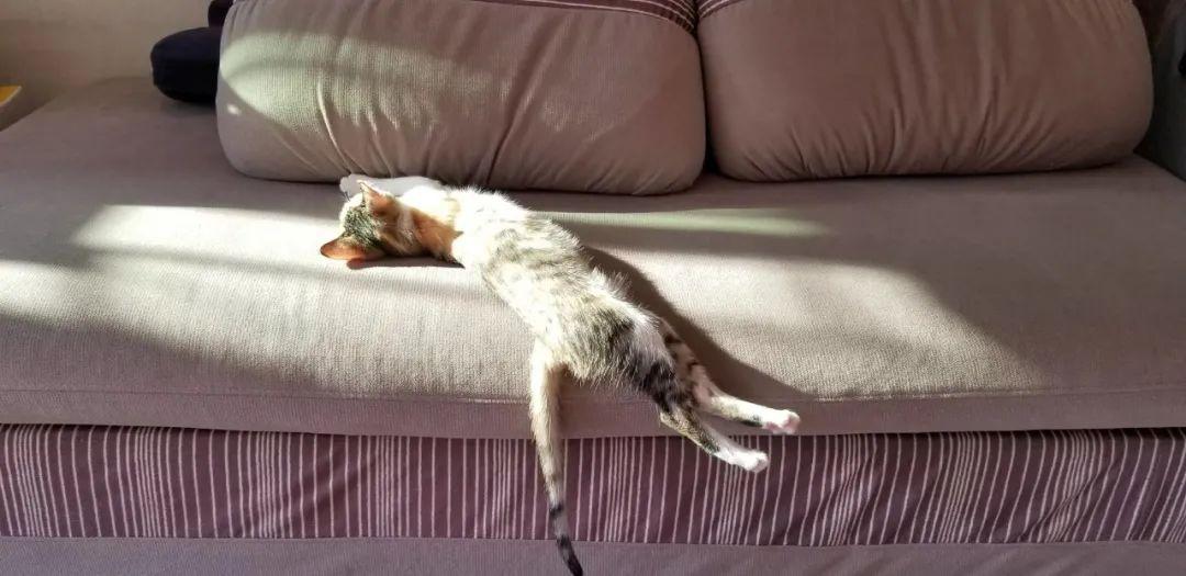 只有一张单人床的屋子,单人房两个单人床