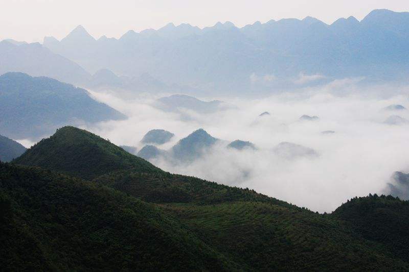 万源中学中考成绩,今年万源高考谁是第一名