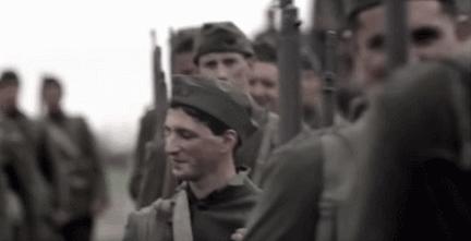 世界大战中的信鸽传奇：以吾一“鸽”之力挽救无数生命