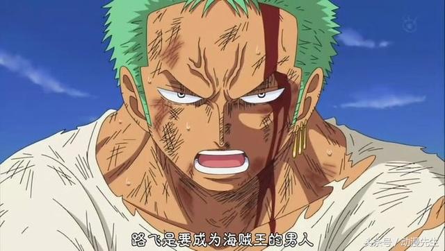 海贼王动画全部章节,海贼王动画剧情最新全解说