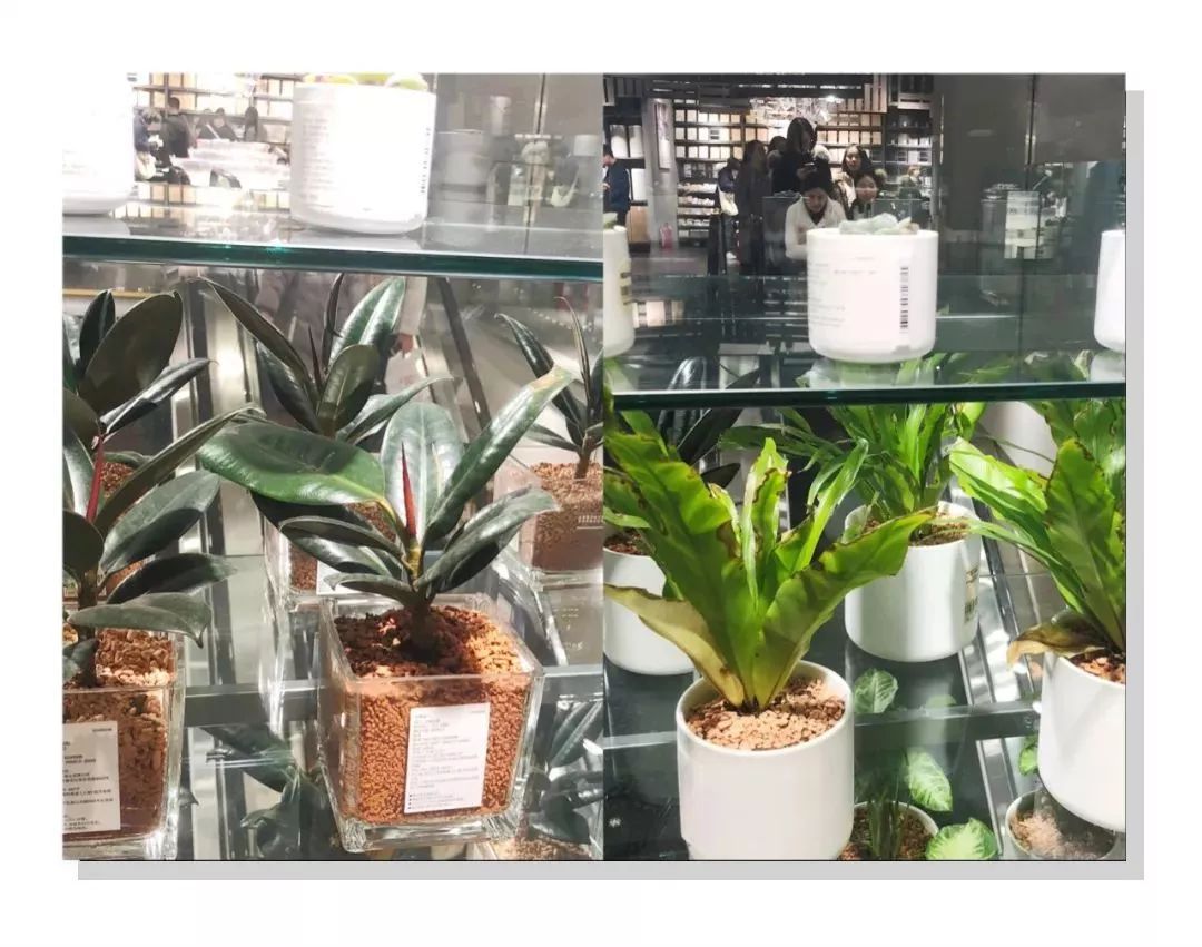 亚洲最大的muji,亚洲最大的muji店