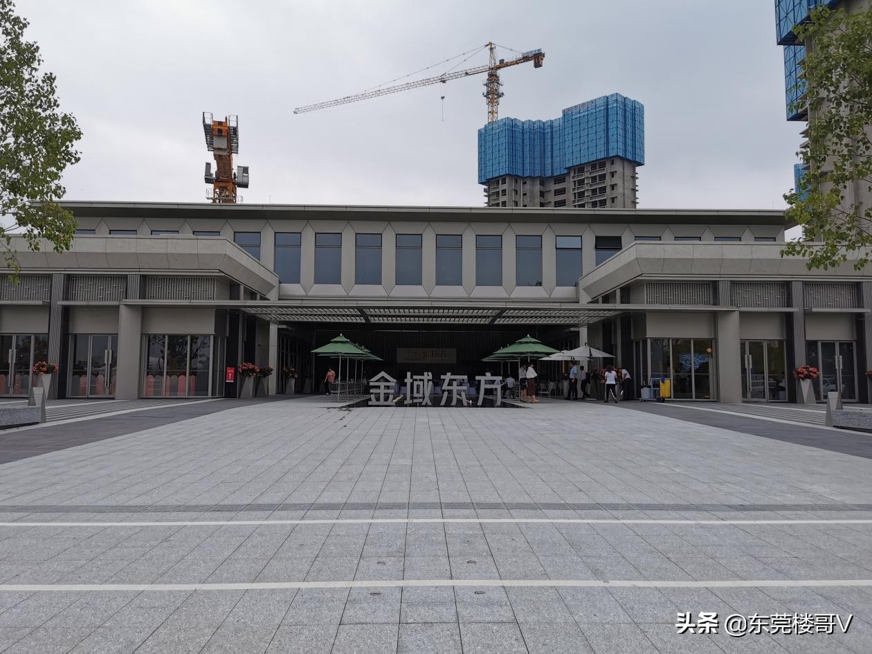 楼哥万科,万科金域东方值得购买吗