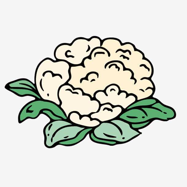 男科医生梅毒咨询,梅毒生殖器疱疹哪个难治