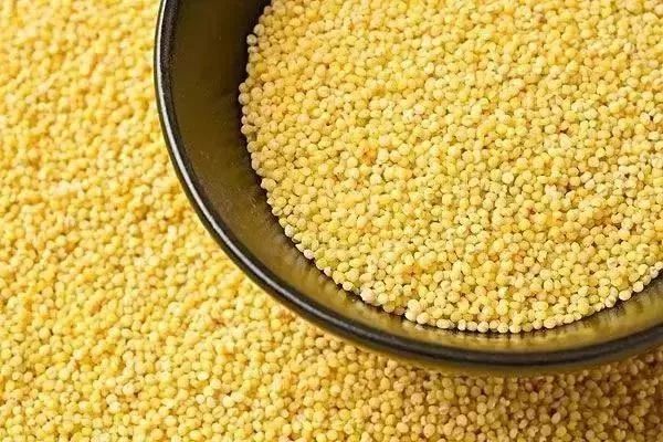 最容易瘦的主食篇,十二种主食食谱一周瘦10斤