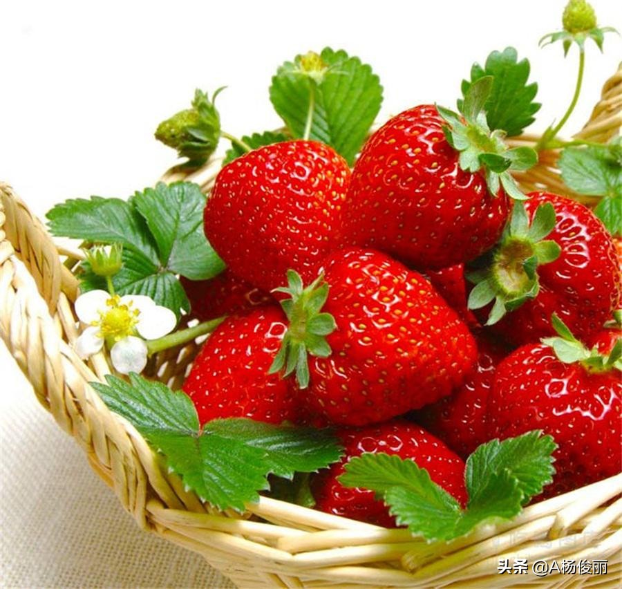 真全粮杨俊丽分享水果酒制作方法及详细步骤