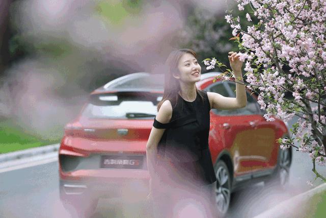 对于这辆车你有什么看法,对于这款车你有什么看法