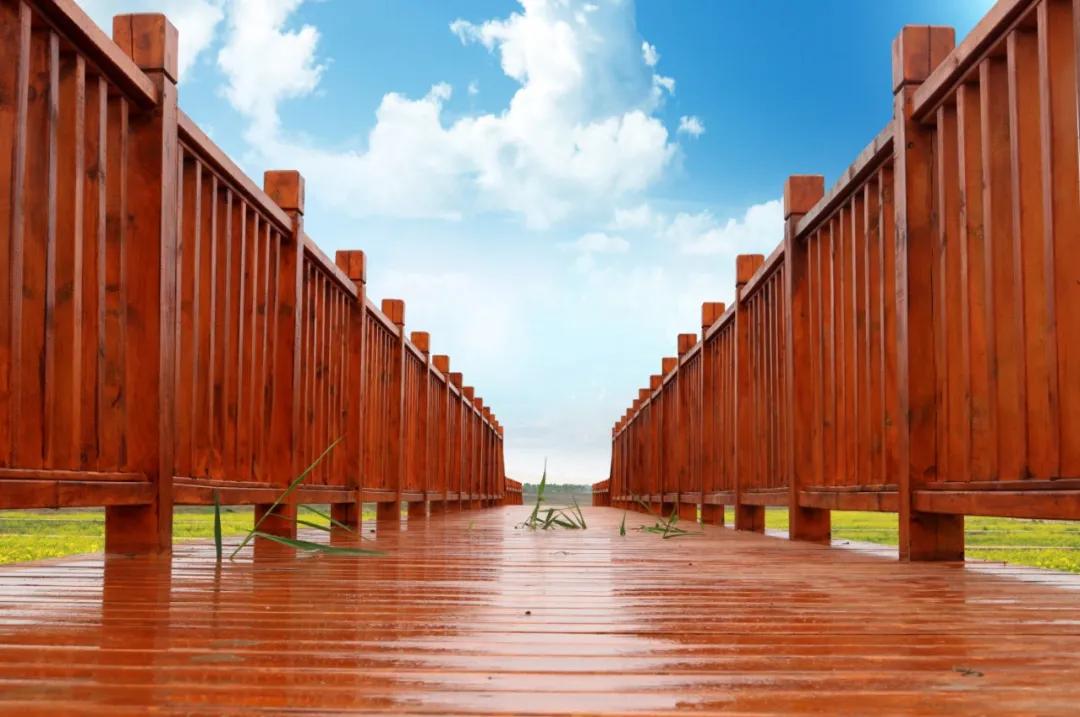 乡野趣、运动风、民国调……天津这些地方还不来打卡？