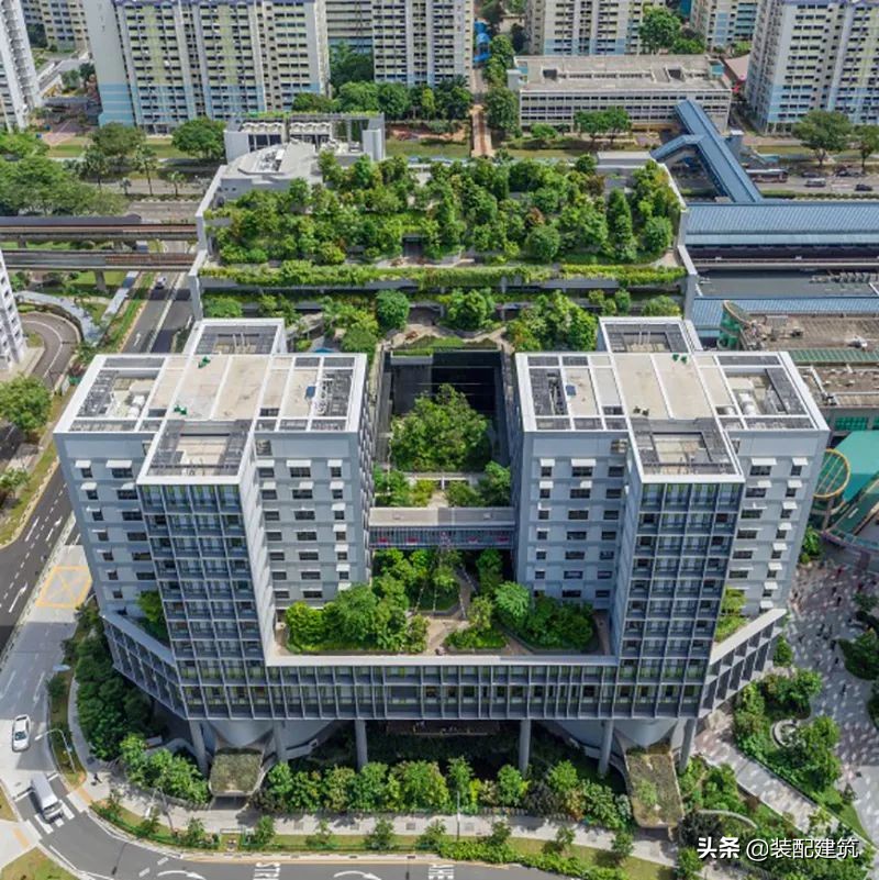 全球获奖102个奖项,金球奖公布获奖名单