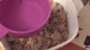 猫咪冻干最贵多少钱一袋,猫咪冻干多少钱一斤才合适