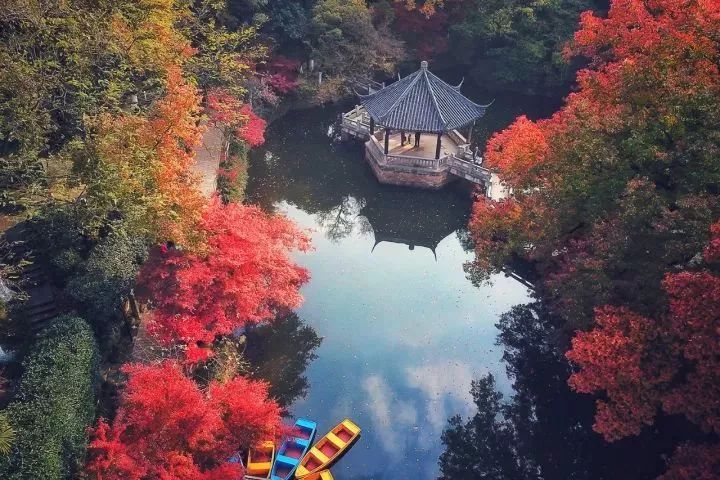 一入秋西安就美成长安,一入秋杭州就美成临安