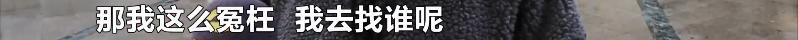 假房东诈骗如何处理,假房东骗局揭秘视频