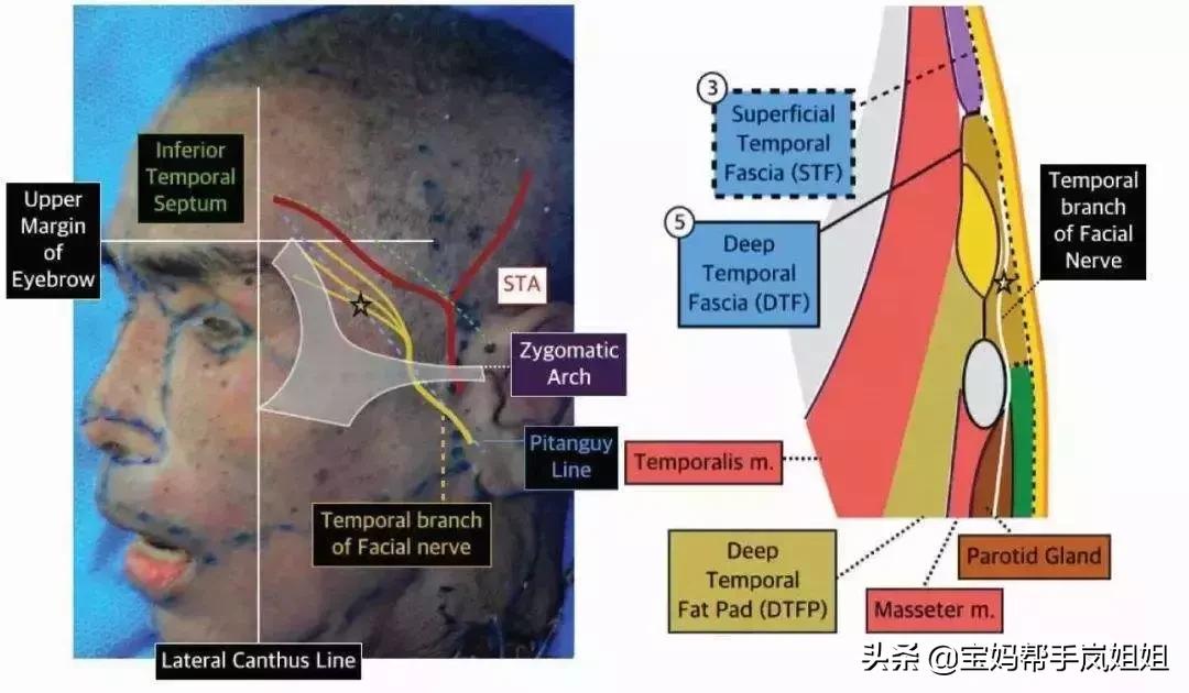 额温枪体温计怎么设置,体温计耳温枪怎么用