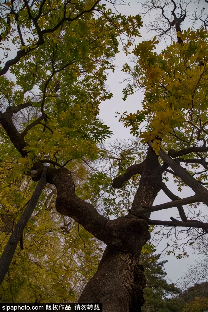 打卡北京十大古迹,打卡北京100个景点