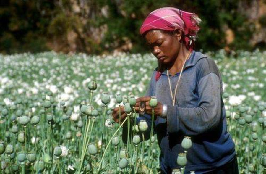缅甸四大电信诈骗家族覆灭背后,电信诈骗在缅甸哪些地方