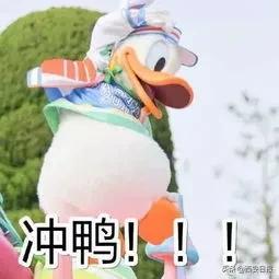 2018年西安灵活就业养老医保缴费,西安灵活就业养老和医保在哪交