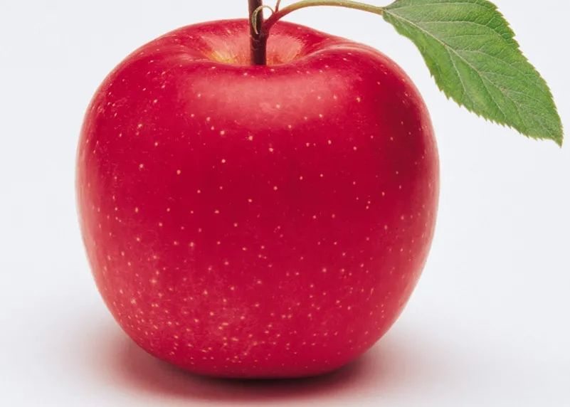 苹果的感人故事,重温一个苹果的故事