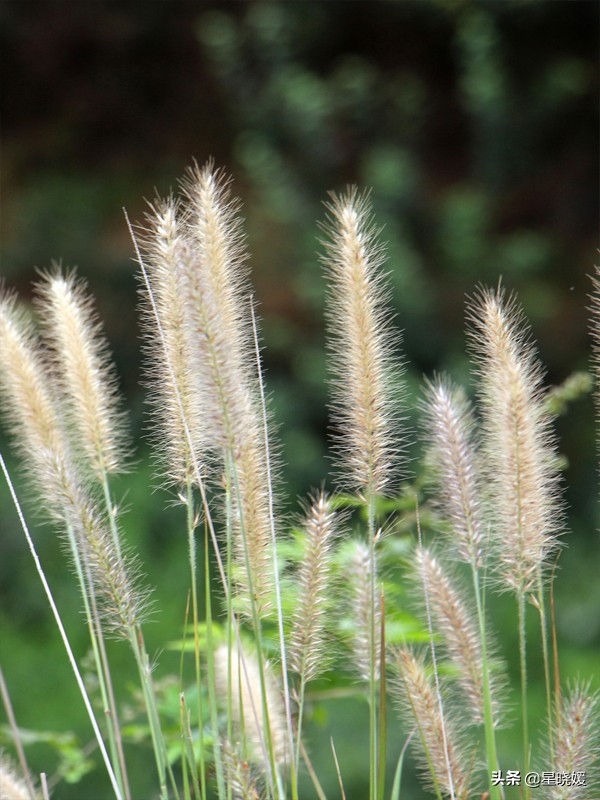 恋人性格多变怎么办,恋人变冷淡怎么办