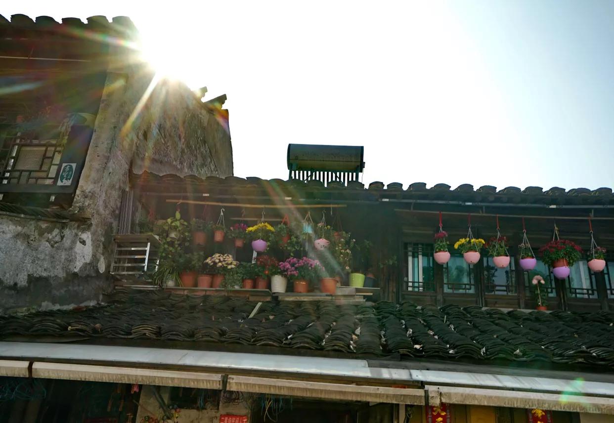 安昌古镇简介和历史,安昌古镇的别样风情