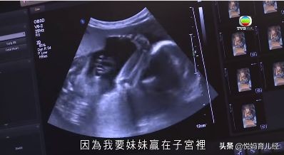 什么是早教为什么要给孩子做早教,早教最好的3个方法