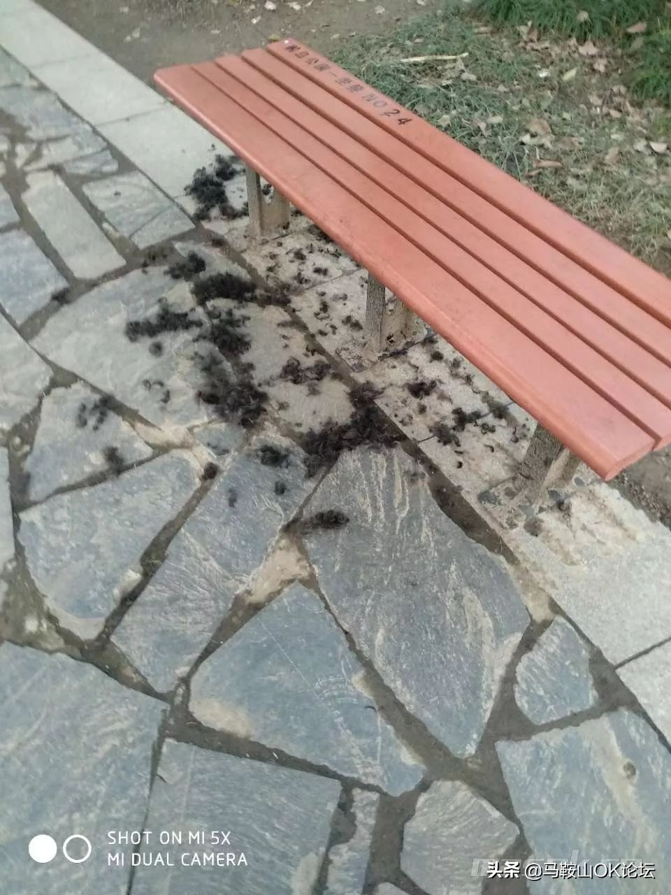 想不通！马鞍山这些‘垃圾人’还可以这么任性？