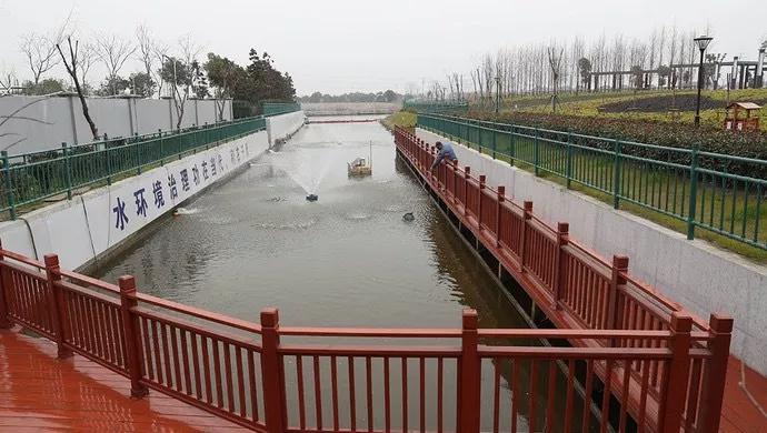 上海大学世界一流建设高校,上海大学为什么进步这么快