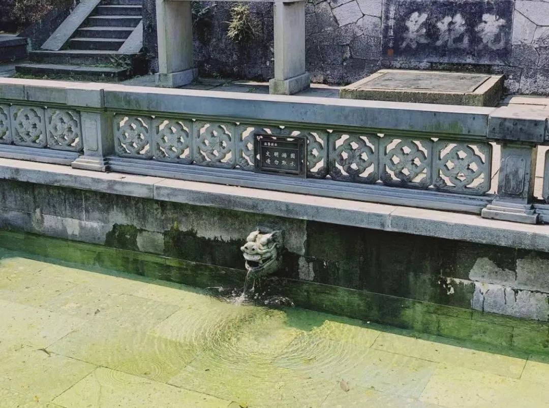 花港一楼茶楼,花港早茶