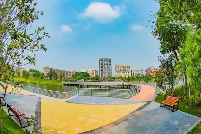 深圳免费公园哪里最好啊,深圳十大免费公园景点大全