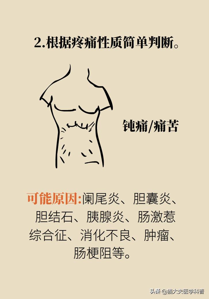 突然毫无征兆的肚子疼怎么办,肚子疼不是胃的问题还可能是什么