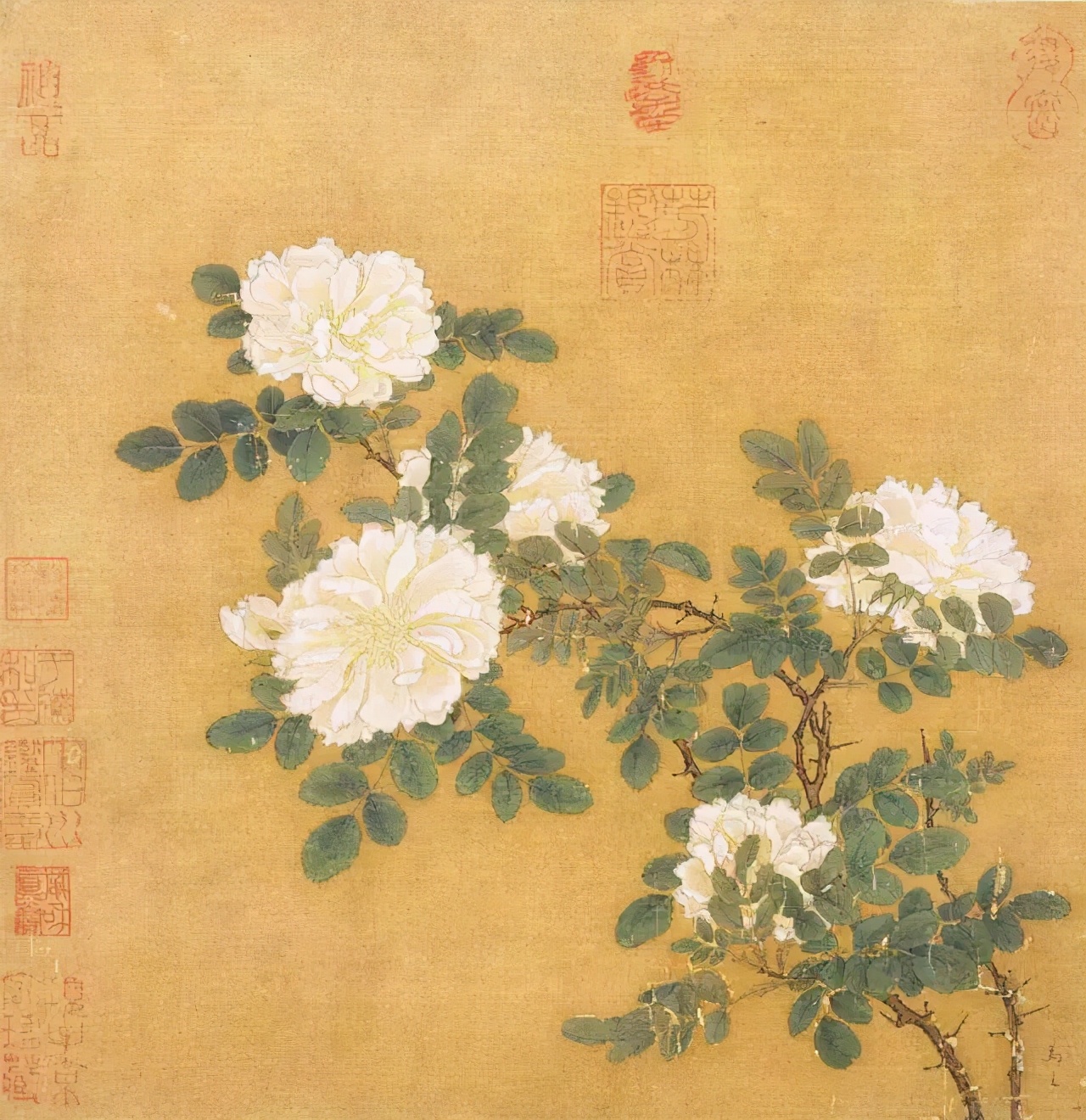 宋画大系花鸟卷,宋画花鸟卷