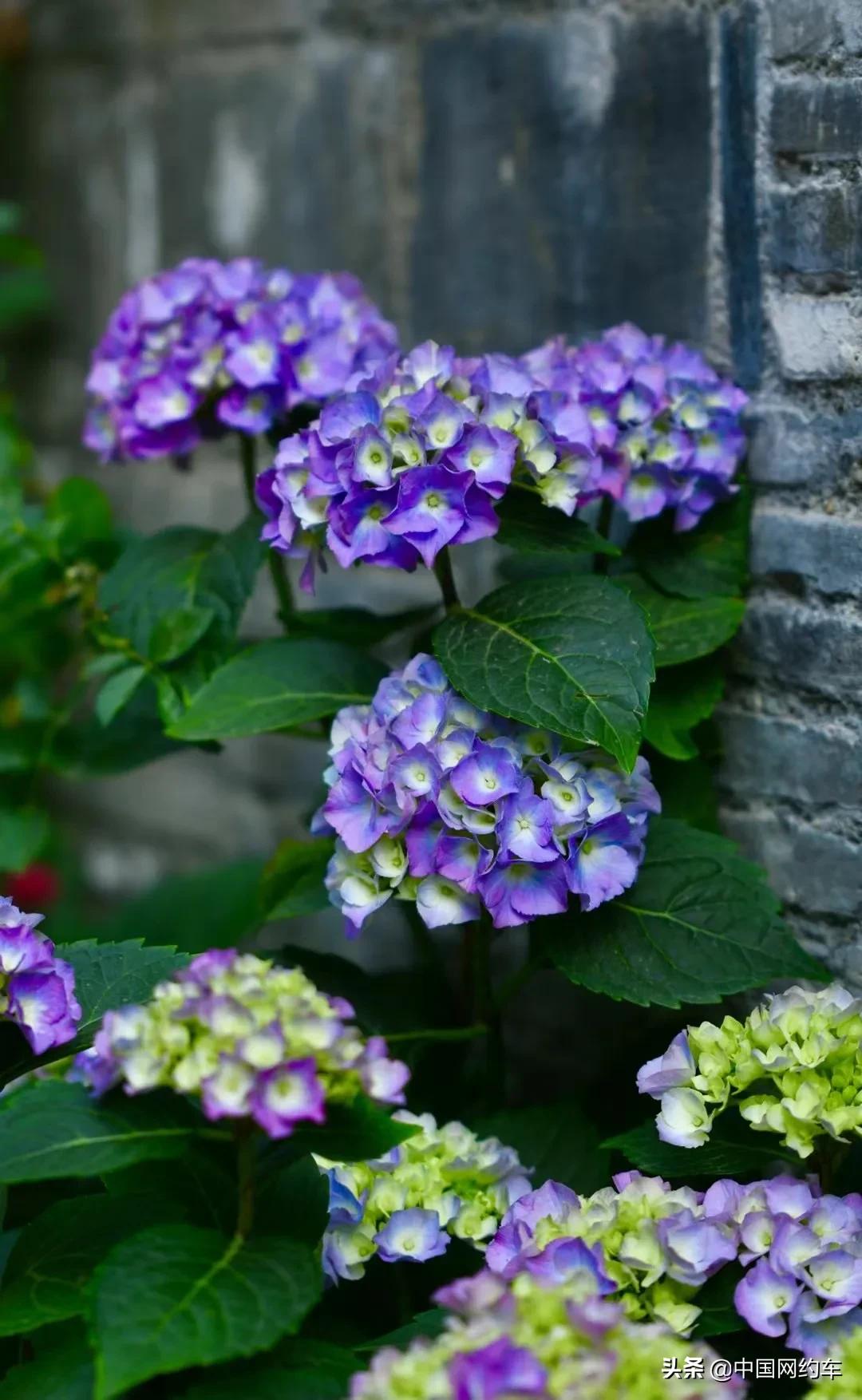 20210607|中国网约车每日简讯