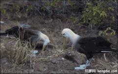 今天2.1，2月第1天，谁编的，太好笑了，给群里乐一乐~