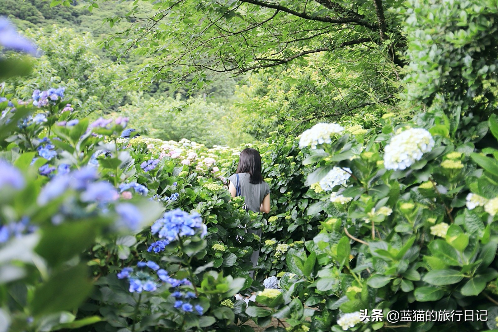 520最浪漫的旅游地,520浪漫出游地