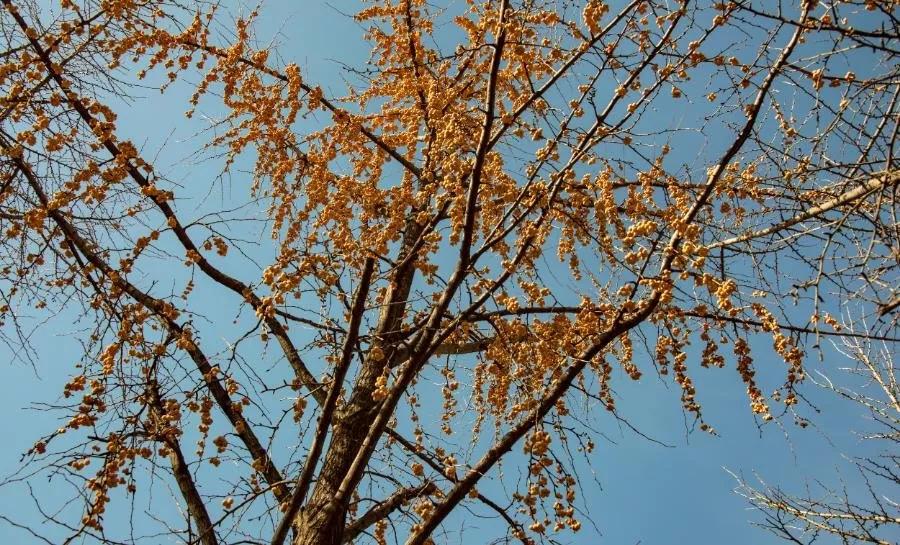 无聊时做这三件事你会越来越好,无聊时要做的十件事