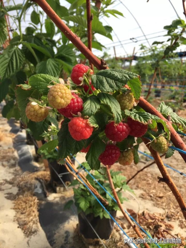 十大最累最赚钱的工作,哪些比较赚钱的工作可以在家做