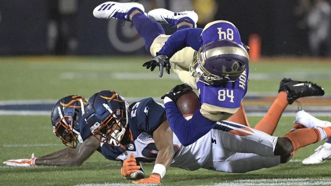 肩锁关节脱位伴钢板固定演示,解剖学肩关节